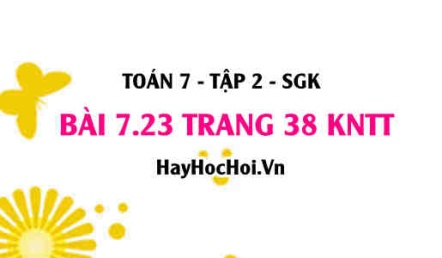 Bài 7.23 trang 38 Toán 7 Tập 2 Kết nối tri thức